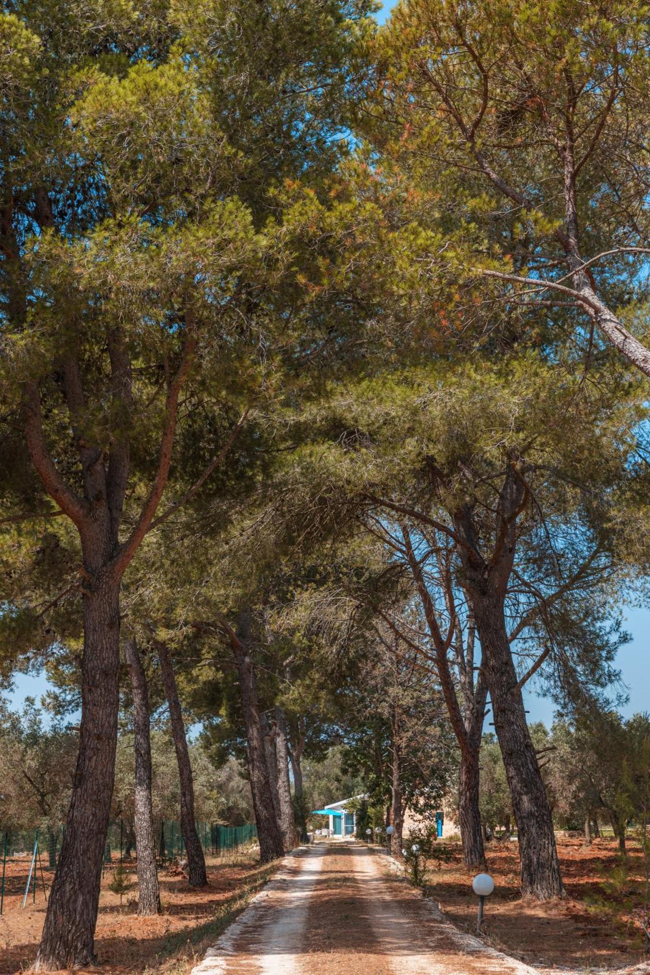 Trullo Tarantini Daire Latiano Dış mekan fotoğraf